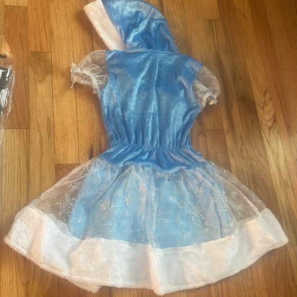 Snowflake Princess - Picture 6 of 9